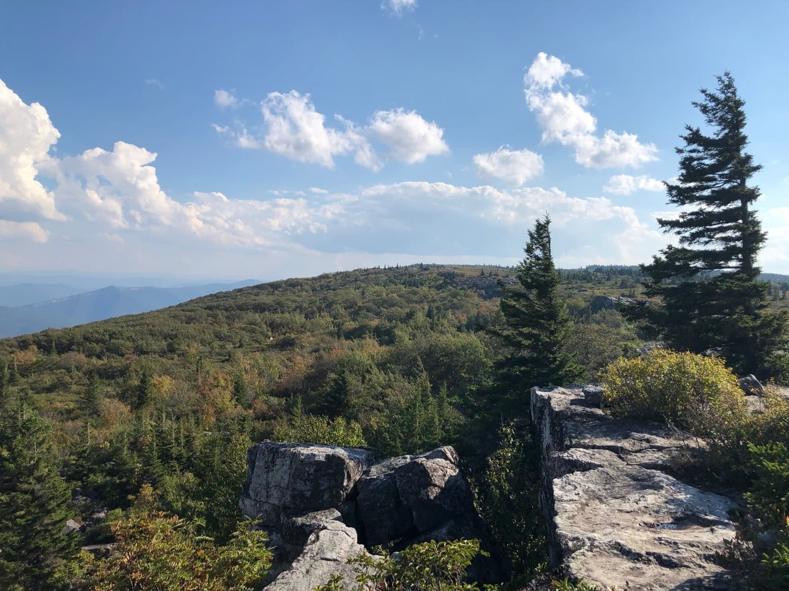 Highlands Sky 40 Mile Trail Run: view from bear rocks preserve, dolly sods, on the highlands sky course