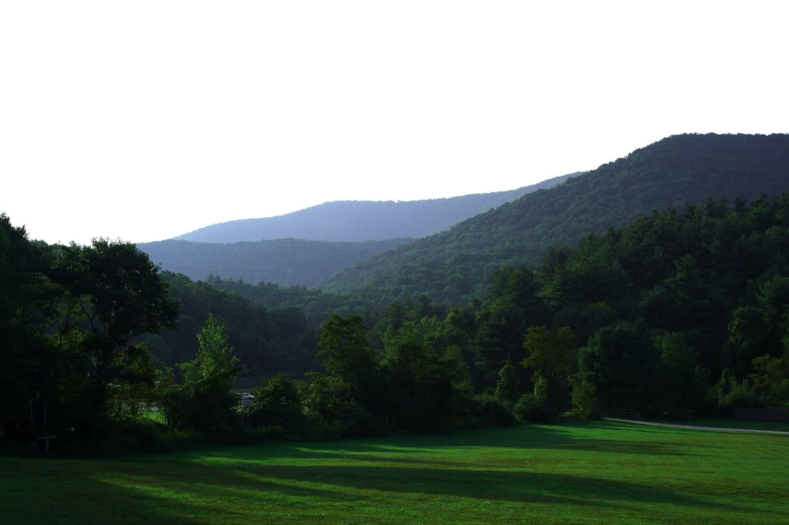 Mountain Masochist Trail Run 50 Mile: blue ridge mountains behind the montebello camping area, the race start and finish