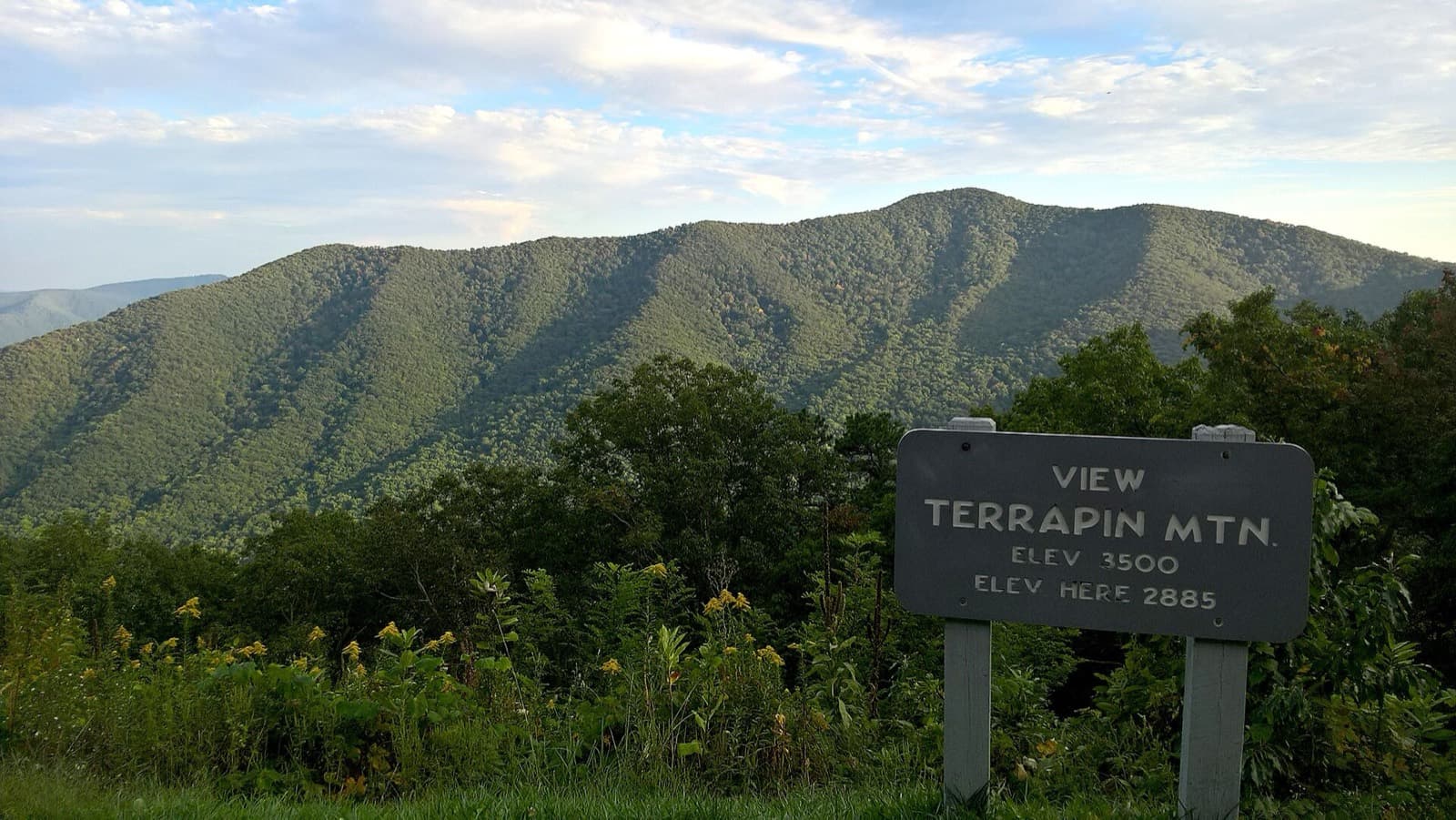 Terrapin Mountain 50K: terrapin mountain from the blue ridge parkway overlook
