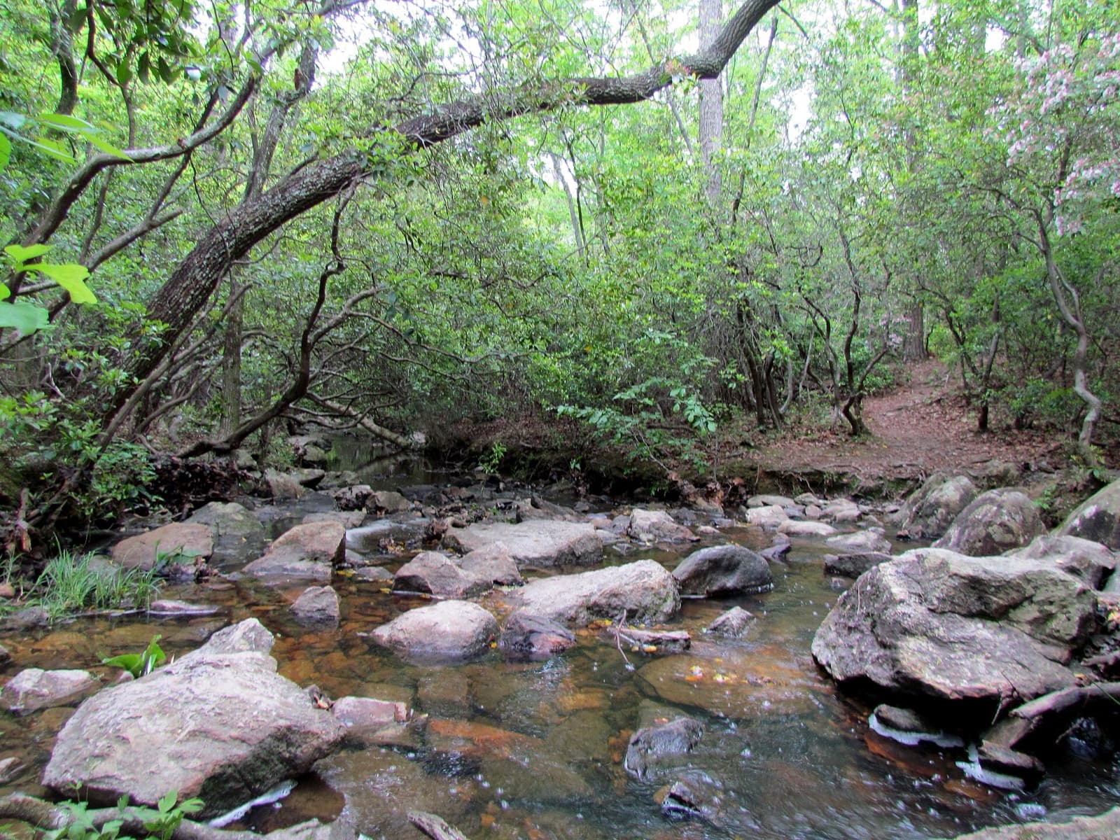 Uwharrie 100 Mile Trail Run: rocky creek crossing on the uwharrie trail near the wood run trailhead, the race start and finish