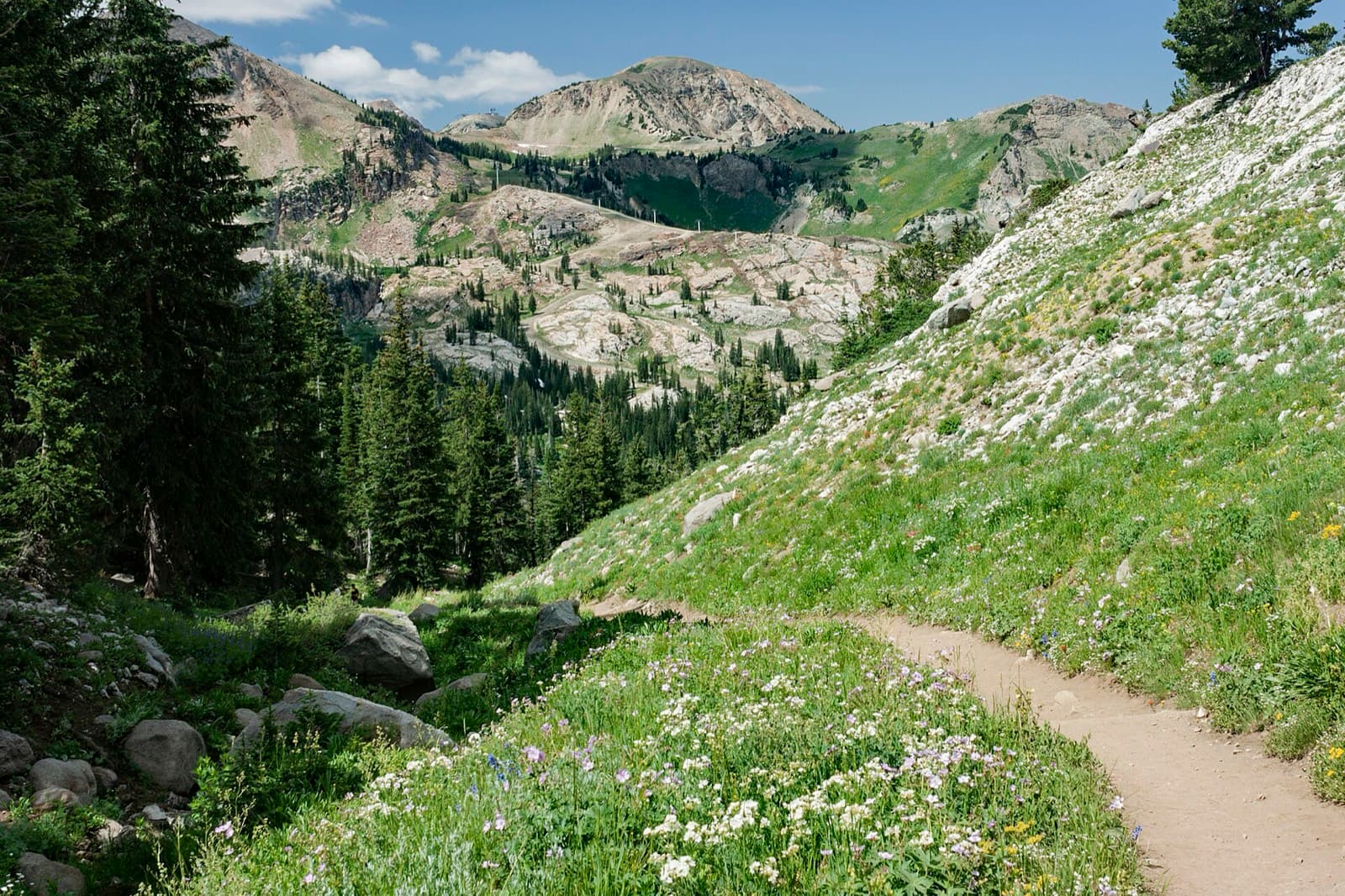 Wasatch Front 100 Mile Endurance Run: trail near catherine pass, wasatch range, on the course at mile 72